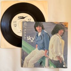 7本セット Mizuno Champion Flag 3-9番 アイアン - メルカリ