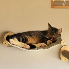 Item thumbnail for item 64547240-5c3a-48b4-9dee-741c6bc66b81