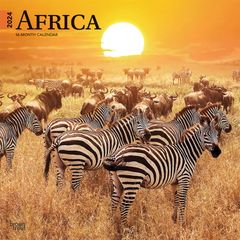 【輸入版】2024年 アフリカ カレンダー / ブラウントラウト 30.5 x 61 cm (Africa  Calendar)