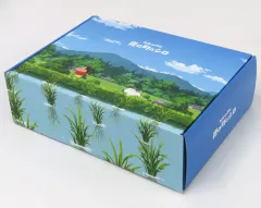 【中古】雑貨 野原しんのすけ&シロ オリジナルデザインBOX 「Switchソフト クレヨンしんちゃん『炭の町のシロ』」 Amazon.co.jp購入特典