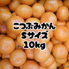 みかんＳサイズ10kg
