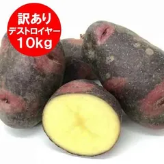 2026年最新】デストロイヤ 10kgの人気アイテム - メルカリ