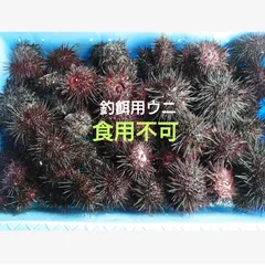 2025年最新】ウニ 釣り餌の人気アイテム - メルカリ
