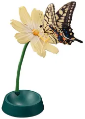 【中古】トレーディングフィギュア キアゲハ 「いきもの大図鑑アドバンス アゲハチョウ」