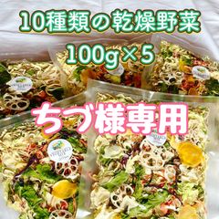 【ちづ様専用】10種類の乾燥野菜100g×5