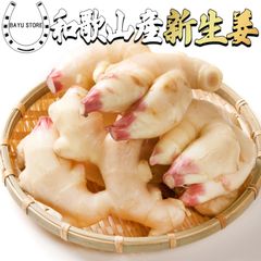 新生姜 約1kg 和歌山県産 サイズお任せ【フレッシュな和歌山県産の新生姜】季節野菜 マイルドな辛み 新しょうが しょうが 生姜 1kg ガリ 甘酢漬け 天ぷら 生姜湯に 国産新しょうが 国産新生姜 国産ガリ 漬物 国産生姜 しょうが