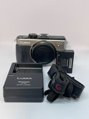LUMIX GX1 パナソニック