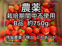 青森県産農薬栽培期間中不使用春掘りごぼう約1.8kgコンパクト便