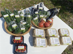 沖縄県産野菜と平飼い卵セット(4～5人向け)＜野菜5～7種類と卵6個×6ｐ＞