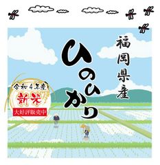 令和6年産 新米 ひのひかり 送料無料 玄米10kg 安い げんまい ヒノヒカリ