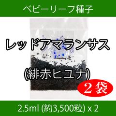 ベビーリーフ種子 B-38 レッドアマランサス(緋赤ヒユナ) 2.5ml x 2袋