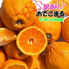 2025年最新】デコポン 不知火の人気アイテム - メルカリ