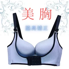 育乳 補正ブラジャー 美乳 ナイトブラ バストアップ 脇肉 盛りブラ 脇高 日中 女性用 補正下着 シームレス ノンワイヤー すっぴんメイクブラジャー 脇高補正 脇肉キャッチャー 離れ乳 超盛りブラ 美胸 たれ胸 垂れない サポート メイクブラ