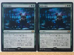 【foil】異界の進化　英語　4枚セット　シークレットライアー版 異界の進化/Eldritch Evolution》[EMN] 緑R | 日本最大級 MTG