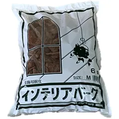 2025年最新】toky 鉢の人気アイテム - メルカリ