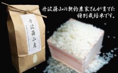 丹波篠山市産　特別栽培米　10kg