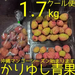 2024年最新】生ライチ 玉荷包の人気アイテム - メルカリ