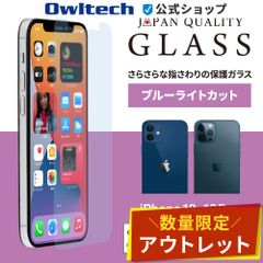 【アウトレット/お買い得品】iPhone12/12Pro用 画面保護 強化ガラス マットブルーライトカット 貼り付けキット付き　オウルテック公式