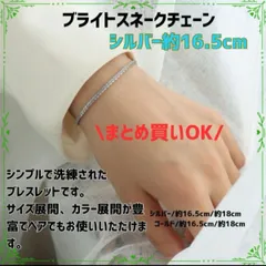 【大人気！】ブライトスネークチェーン　ブレスレット　サージカルステンレス シルバー　韓国ファッション　冠婚葬祭　イベント　授業参観　デート　プレゼント