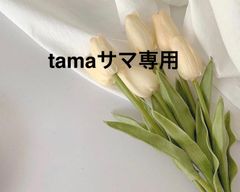 tamaサマ専用