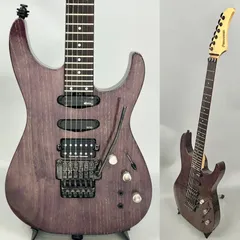 2025年最新】フェルナンデス サスティナー ギターの人気アイテム