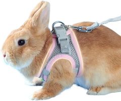 Item thumbnail for item d50f6510-3672-4c47-938c-9ee3b438f668