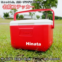 1枚注文【ザラザラ面にも貼れる】名前シール 防水 ステッカー 10cm×2.5cm クーラーボックス 水筒 オリジナルシール カッティングシール 1行