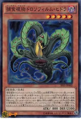 2026年最新】ドロソフィルムの人気アイテム - メルカリ