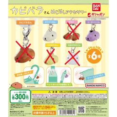 ヴァンガード 天輪飛翔 勇奏の楽士 コルリーノ(RR) D-BT13/032