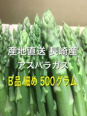 長崎産アスパラガスB品 細め 500グラム