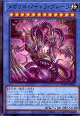 メガリス・ノートラ・プルーラ(スーパー)