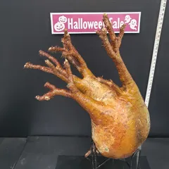 メルカリ便　グラキリス　ベアルート　状態良好 2025年最新】グラキリス ベアルートの人気アイテム - メルカリ