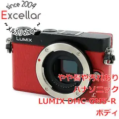 2024年最新】lumix gm5の人気アイテム - メルカリ