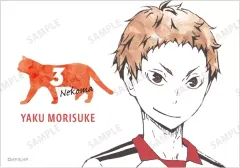 【中古】キャラカード 夜久衛輔(横) 「ハイキュー!! トレーディング Ani-Art 第1弾 ブロマイド ver.B」