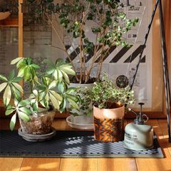 Item thumbnail for item 5054a2ac-08be-40b9-92d8-62ba9cbdb189