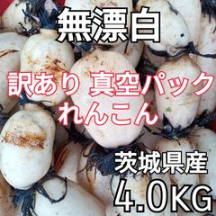 茨城産・野菜　大・中・小サイズ　詰め合わせ　小分け 真空パック　れんこん　4k