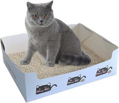 Item thumbnail for item cf0e433d-7bfc-4f89-a992-2ec04357c3f4