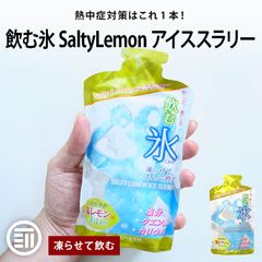 赤城フーズ 飲む氷 SaltyLemon アイススラリー 塩レモン味 8個 凍らせてもんで飲む スポーツ 現場作業 夏バテ防止 熱中症 熱中症対策 塩分 クエン酸 カリウム 補給 レモン メール便 送料無料 MAEDAYA