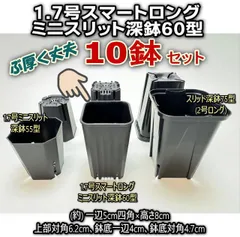 2号より小さく深めの1.7号スマートロング-ミニスリット深鉢60型-黒★ぶ厚いプラ鉢※鉢底の通気排水重視-10鉢セット(画像中央60型のみ)＊多肉植物・塊根植物コーデックス・アガベ・ハオルチア・アデニウム・パキポディウム＊グラキリス・実生＠フラワーショップ江口のサムネイル