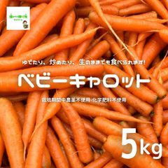 【送料無料(常温便)】ベビーキャロット（ミニにんじん、ミニ人参）　約５kg　☆農薬や化学肥料は使っておりません　※サイズ混合　【暑い時期の常温便配送ＯＫ！】