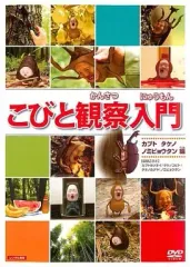 2026年最新】こびと図鑑dvdの人気アイテム - メルカリ