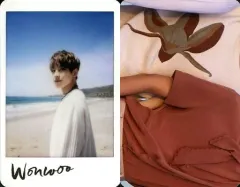 【中古】コレクションカード(男性) Seventeen/WONWOO(ウォヌ)/上半身・衣装白・左向き・浜辺/4th Mini Album「Al1 ver2.Al1[03]」特典フォトカード