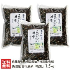 魚沼産 古代黒米「朝紫」（棚田栽培・特別栽培米）1.5kg