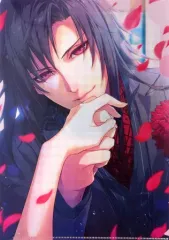 【中古】クリアファイル [単品] アルバロ・ガレイ A4クリアファイル 「Switchソフト ワンド オブ フォーチュン R2 FD ～君に捧げるエピローグ～ for Nintendo Switch スペシャルステラセット」 同梱特典