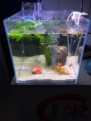 水槽　W90×D40×H40 厚み8mm その2 水槽 フタセット 90cm W90*D40*H40 厚み 8mm - メルカリ