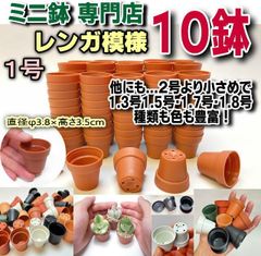 ミニ鉢専門店一寸鉢＊1号鉢1.5号鉢別売黒緑白茶色あり＊1号鉢ミニプラ鉢 レンガ柄 レンガ模様 10鉢＊多肉・塊根植物コーデックス・アガベ・サボテン・観葉・ハオルチア・アデニウム・パキポディウム＊グラキリス・実生＊一寸鉢 10個セット＠フラワーショップ江口