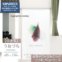【MINIBOX のれん制作工房 正規販売店舗】【匿名配送ネコポス 送料無料】のれん うおづら「ニセモチノウオ」 幅85×丈150cm【日本製】金魚 UOZURA 熱帯魚 さかな フォト 写真 暖簾 間仕切り 家紋 タペストリー ポスター