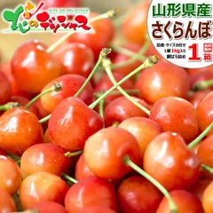 【予約/6月上旬(6月5日)頃～出荷予定】 生産者応援！ 山形県産 ご家庭用 さくらんぼ 1kg (訳あり/品種・サイズお任せ/ばら詰め/クール冷蔵便) 露地 わけあり ご自宅用 ご家庭用 果物 フルーツ 山形県 山形県直送 グルメ お取り寄せ