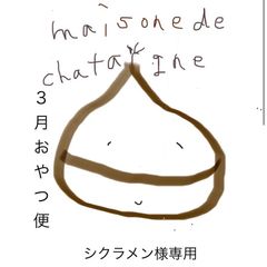 シクラメン様専用　おやつ便　シフォンケーキサンド　チーズケーキ　テリーヌ