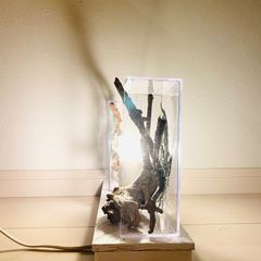 二十歳のエチュード　LED　流木アート　インテリア　LED間接照明スリム型